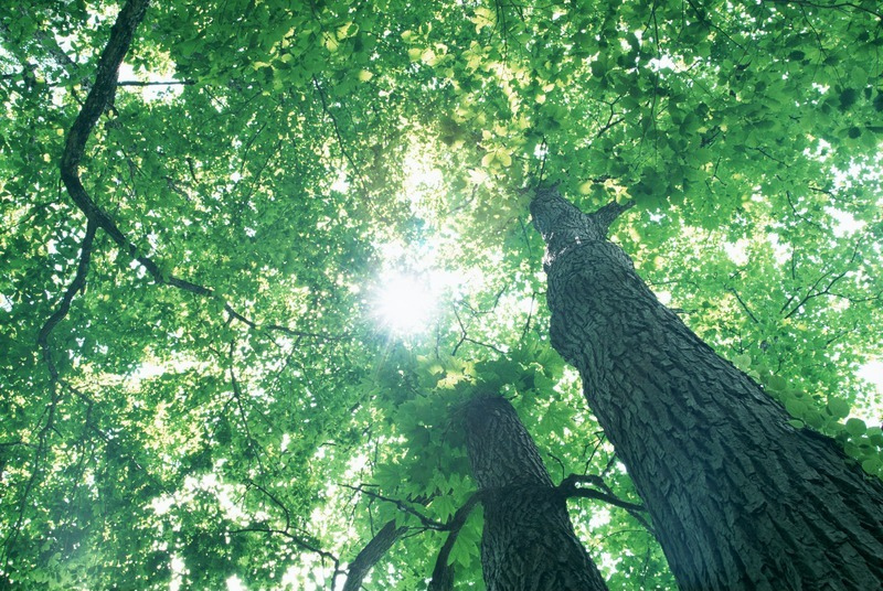 20140701100106715.jpg 20140701100106715.jpg